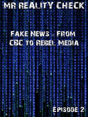 cover image of Mr. Reality Check